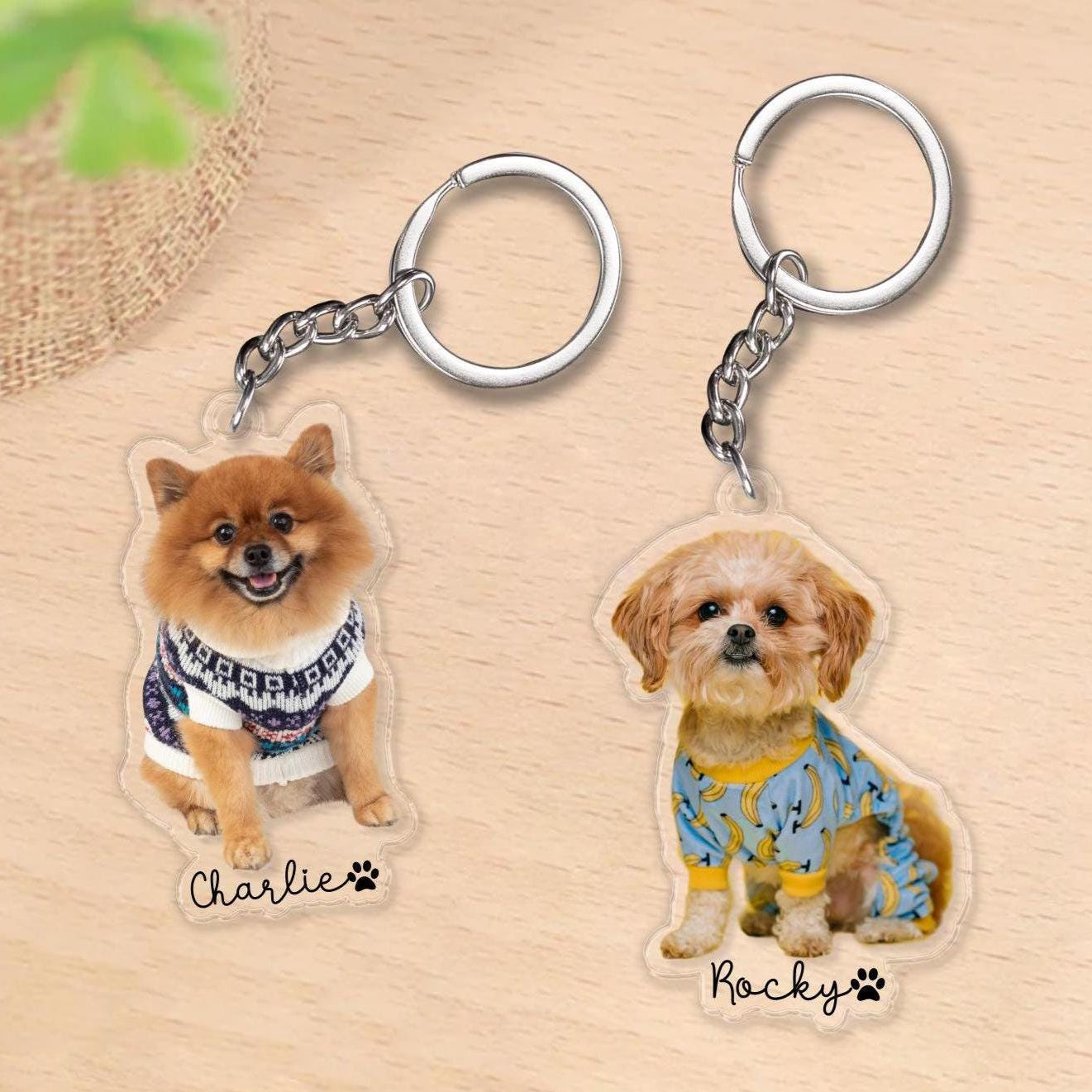Personalized Pet Photo and Name Acrylic Keychain