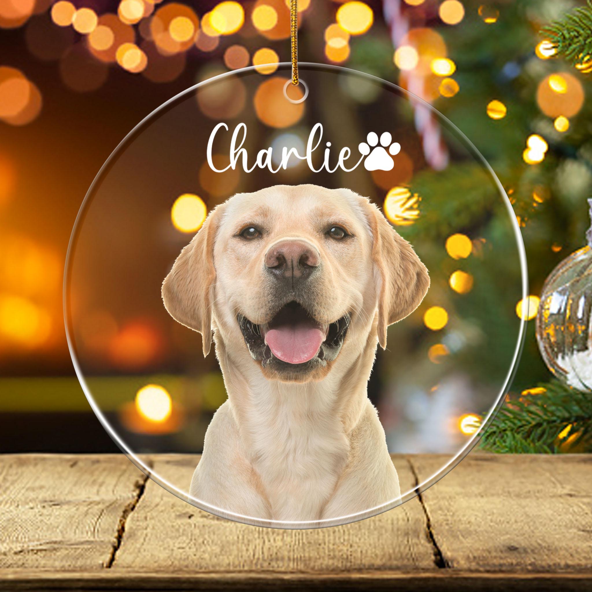Personalized Pet Photo Beveled Glass Ornament, Acrylic Ornament