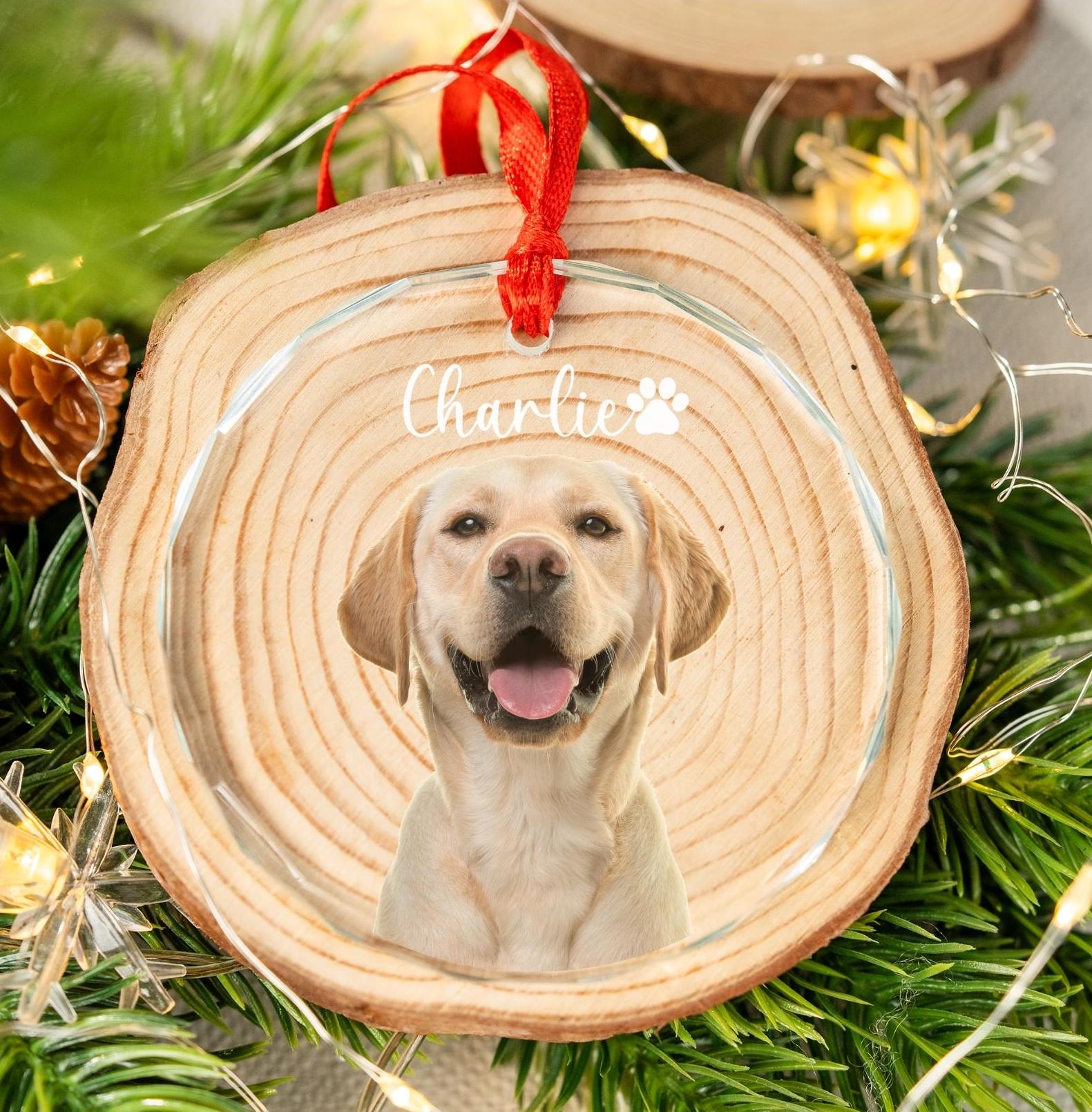 Personalized Pet Photo Beveled Glass Ornament, Acrylic Ornament