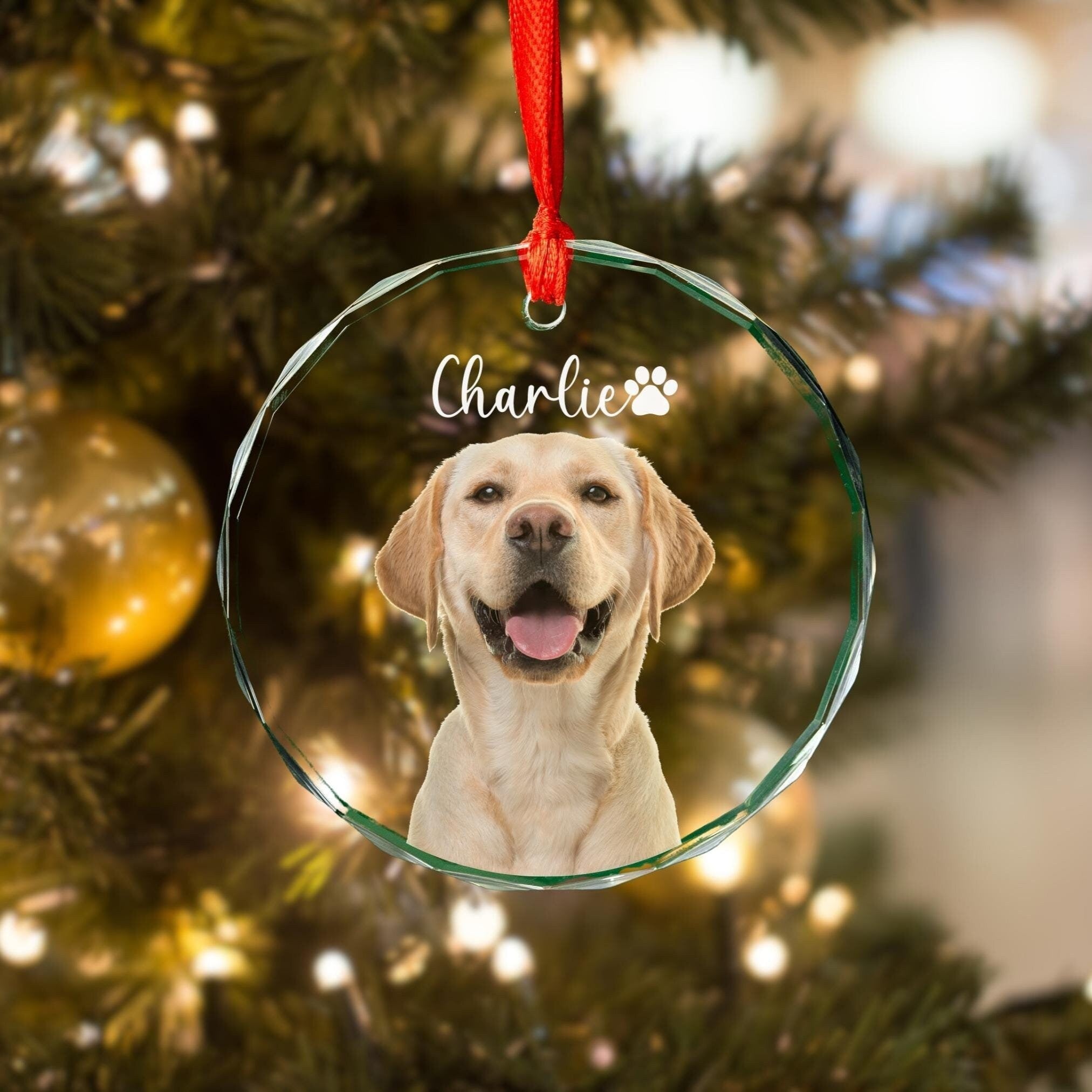 Personalized Pet Photo Beveled Glass Ornament, Acrylic Ornament