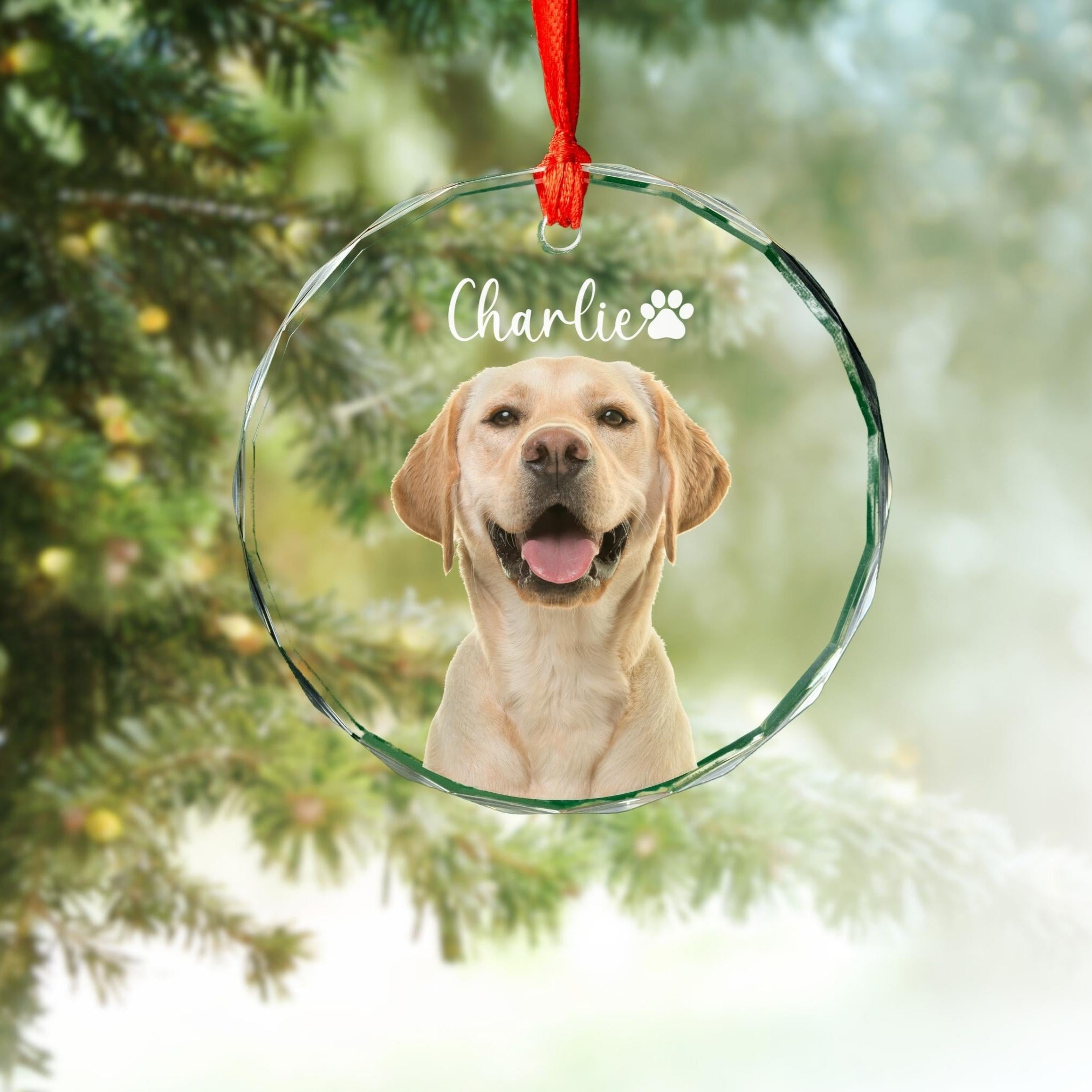 Personalized Pet Photo Beveled Glass Ornament, Acrylic Ornament